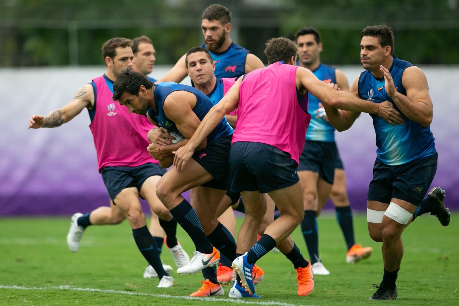 Cuatro variantes tendrán Los Pumas para enfrentar a Tonga