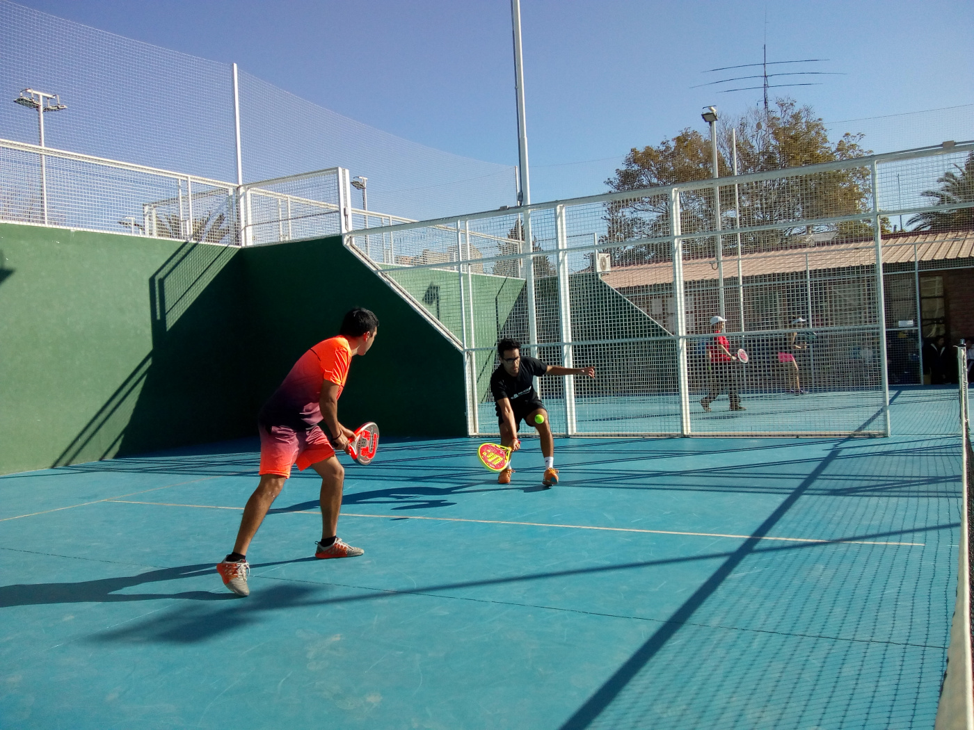 Conocé el protocolo para el regreso de las canchas de pádel