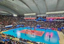 Argentina vs. Japón: ya se venden las entradas para los partidos en el Aldo Cantoni